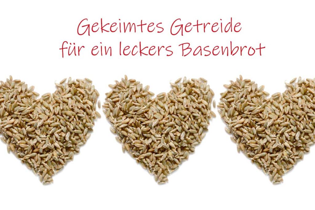 Basisches Brot Backen. Basenbrot, Die Brotrevolution | IHLEVITAL